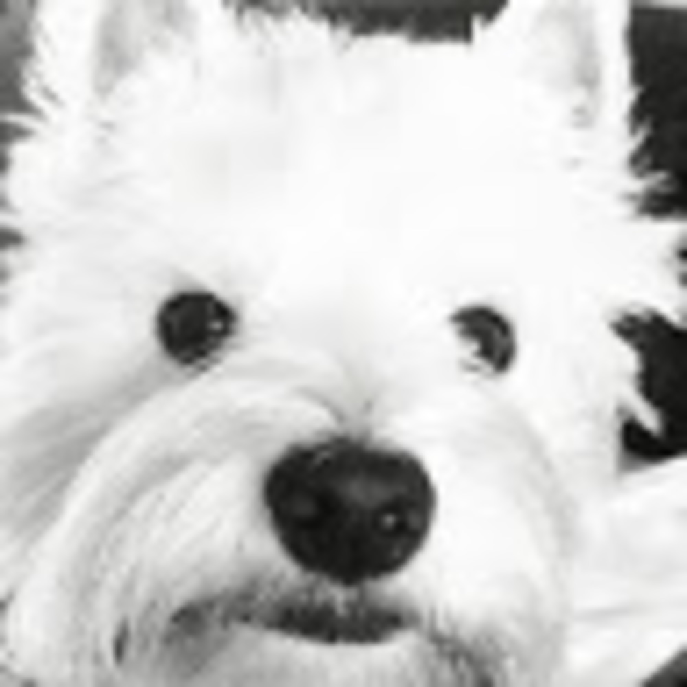 Meet your Posher, Lynne